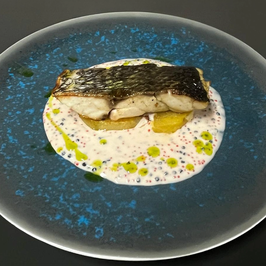 EL OLIVO